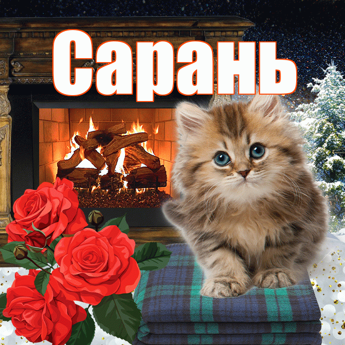 Сарань! Добрый зимний вечер! Красивая открытка Сараню!