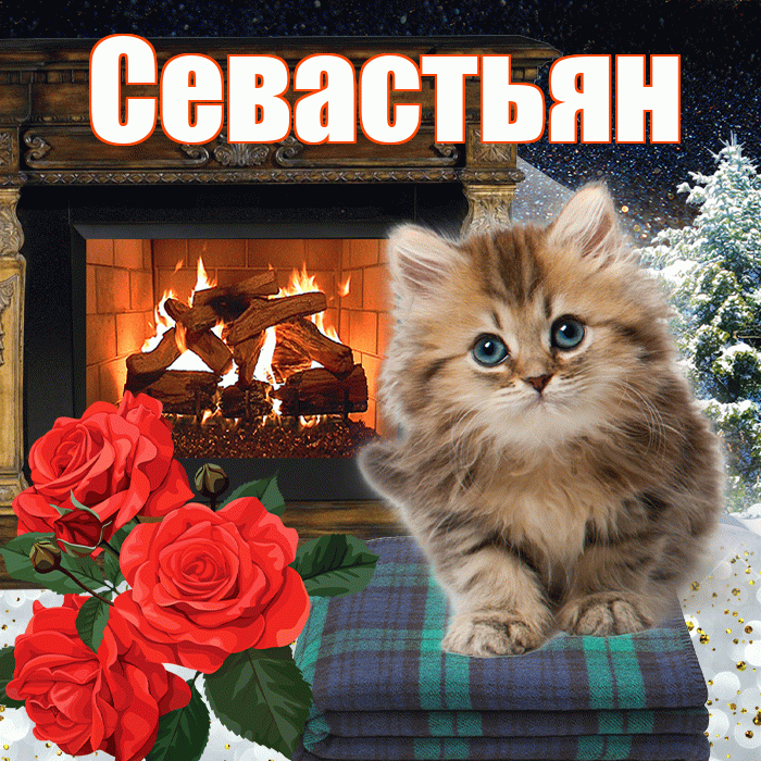 Севастьян! Добрый зимний вечер! Красивая открытка Севастьяну!