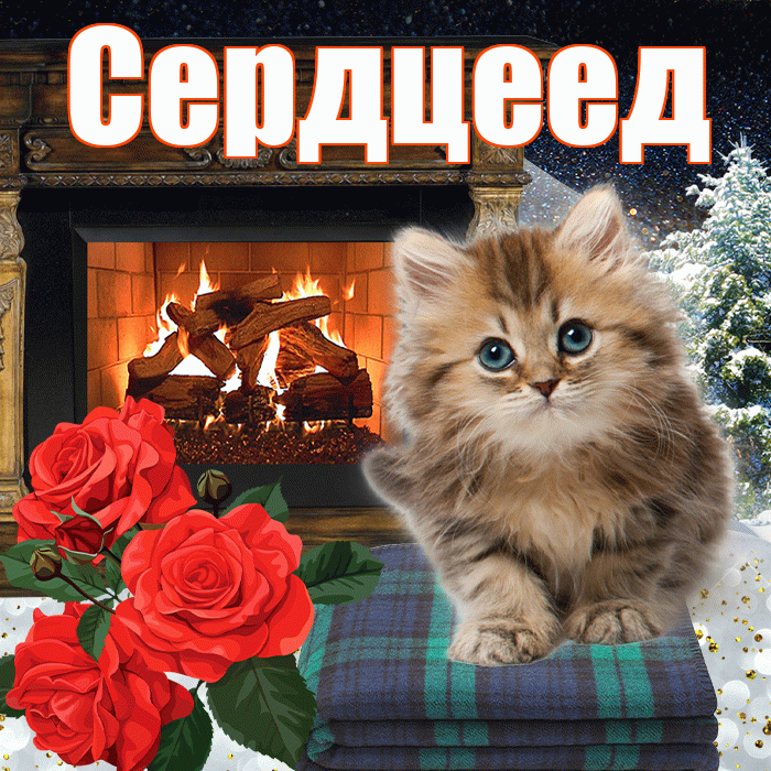 Сердцеед! Добрый зимний вечер! Красивая открытка Сердцееду!