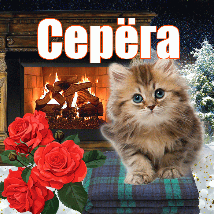 Серёга! Добрый зимний вечер! Красивая открытка !