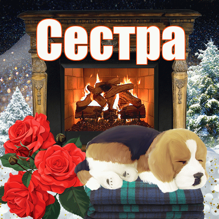 Сестра! Добрый зимний вечер! Красивая открытка Сестре!
