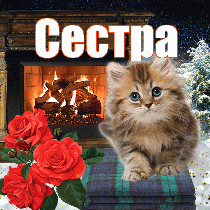 Сестра! Добрый зимний вечер! Красивая открытка Сестре!