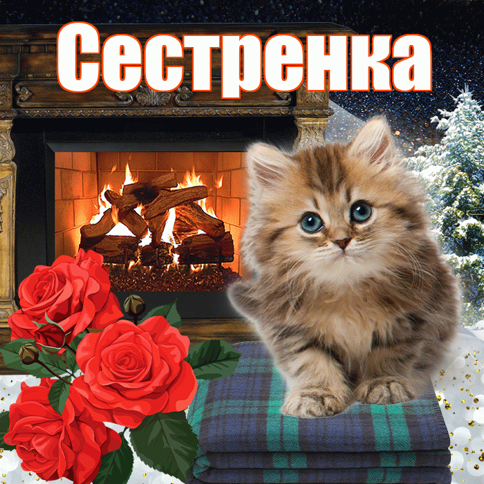 Сестренка! Добрый зимний вечер! Красивая открытка Сестренке!