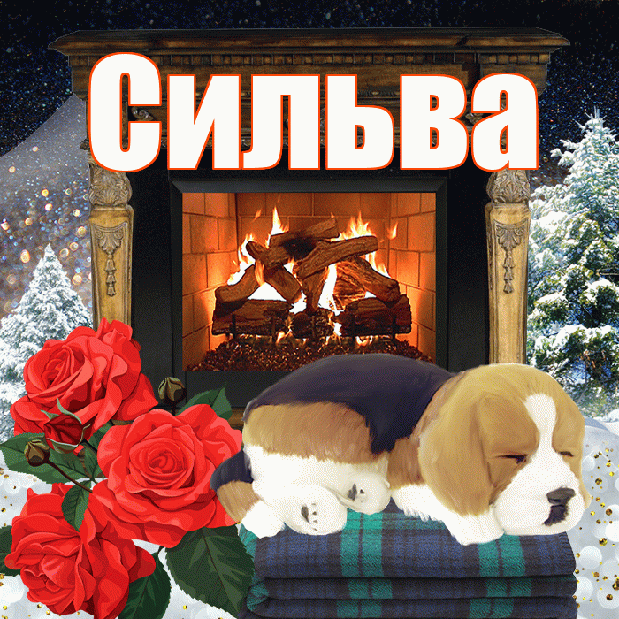 Сильва! Добрый зимний вечер! Красивая открытка Сильве!