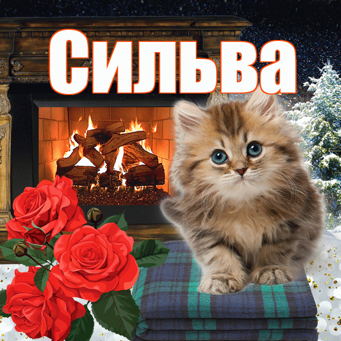 Сильва! Добрый зимний вечер! Красивая открытка Сильве!