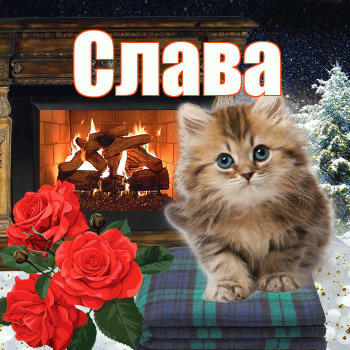 Слава! Добрый зимний вечер! Красивая открытка Славе!
