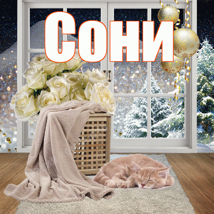 Сони! Добрый зимний вечер! Красивая открытка !