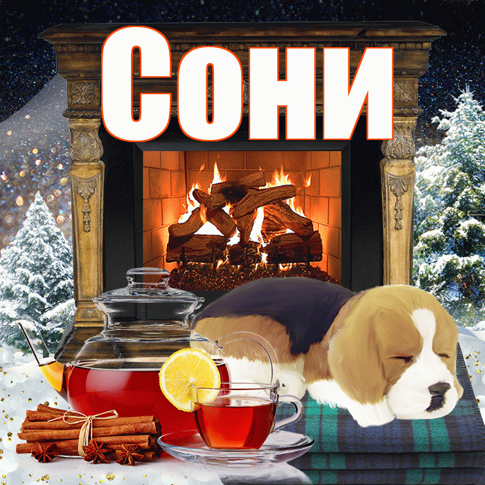 Сони! Добрый зимний вечер! Красивая открытка !