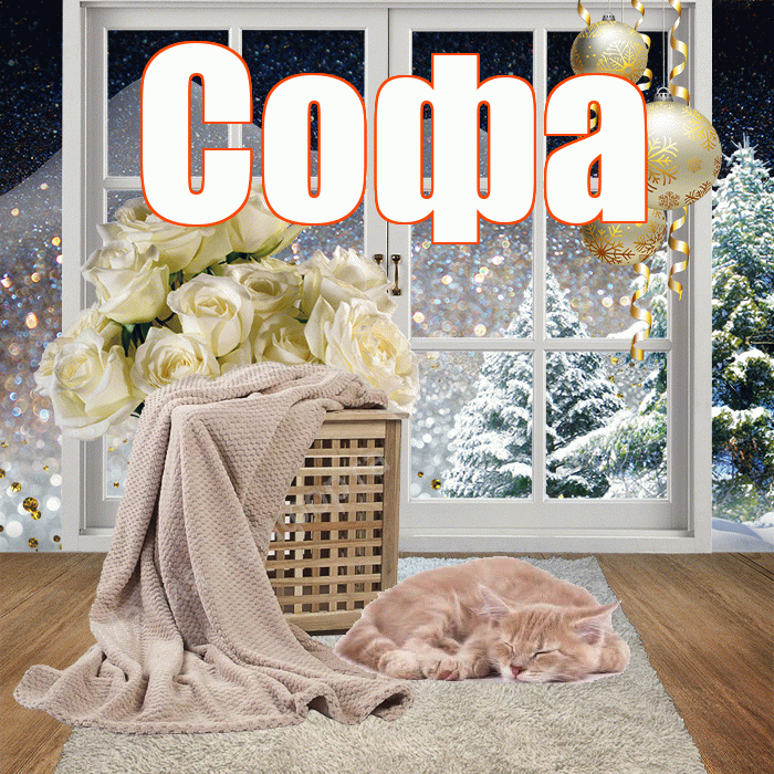 Софа! Добрый зимний вечер! Красивая открытка Софе!