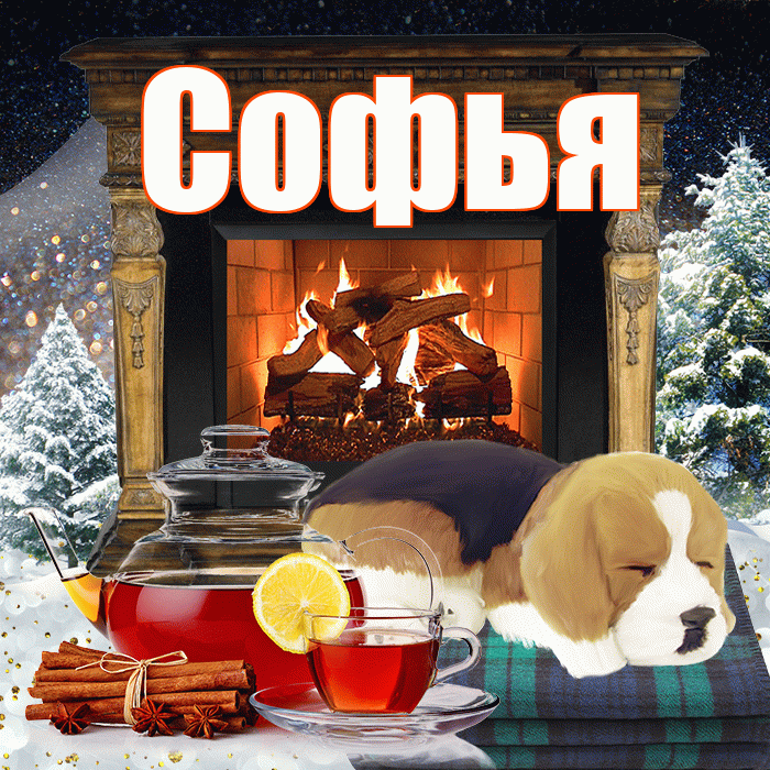 Софья! Добрый зимний вечер! Красивая открытка Софье!