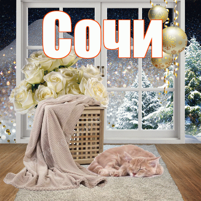 Сочи! Добрый зимний вечер! Красивая открытка Сочи!