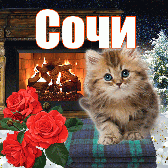 Сочи! Добрый зимний вечер! Красивая открытка Сочи!