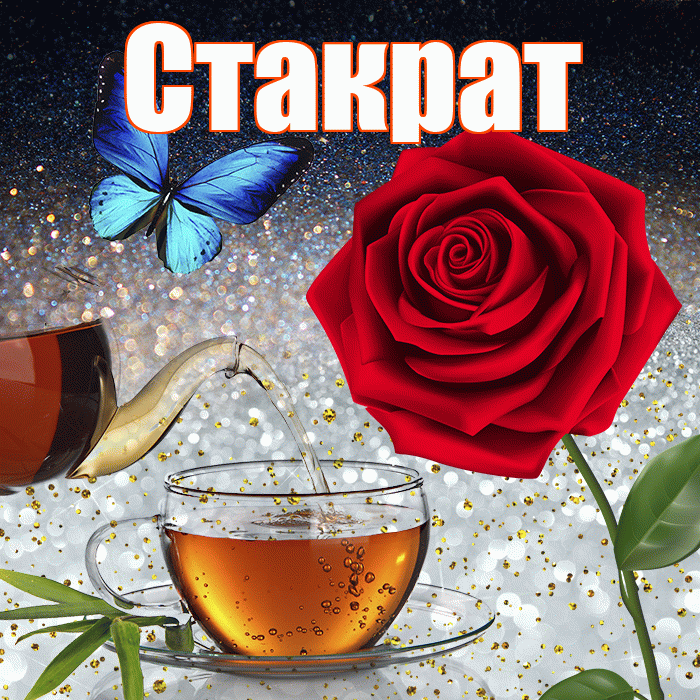 Стакрат! Добрый зимний вечер! Красивая открытка Стакрату!