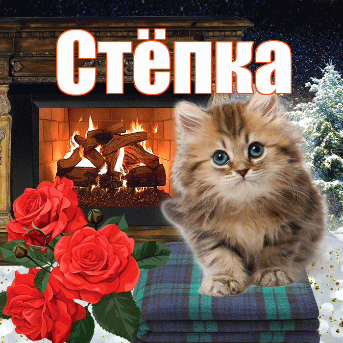 Стёпка! Добрый зимний вечер! Красивая открытка !