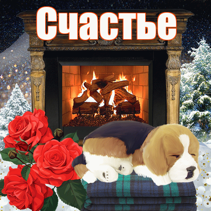 Счастье! Добрый зимний вечер! Красивая открытка Счастью!