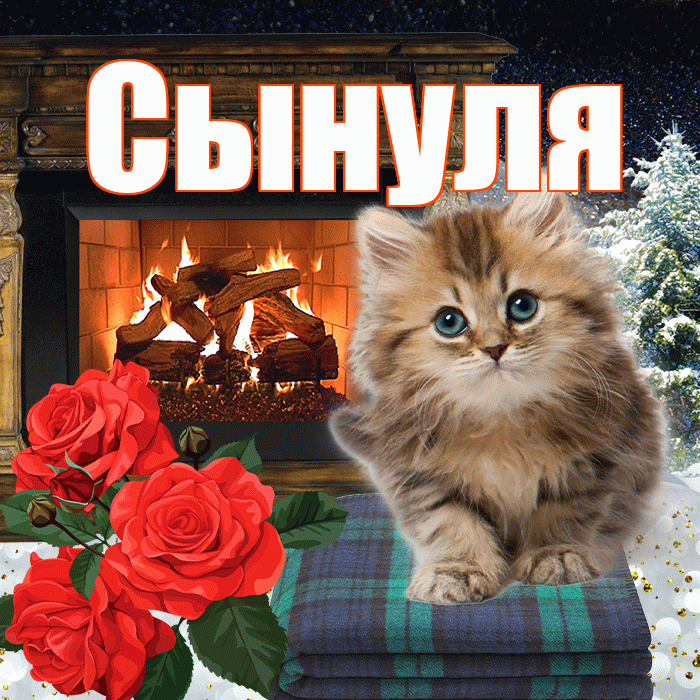 Сынуля! Добрый зимний вечер! Красивая открытка Сынулю!