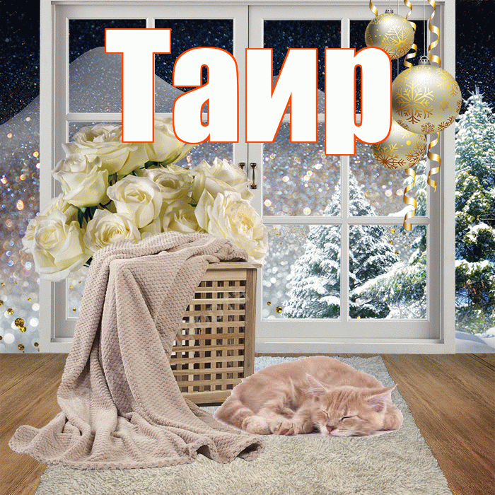 Таир! Добрый зимний вечер! Красивая открытка Таиру!
