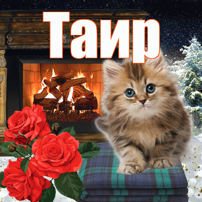 Таир! Добрый зимний вечер! Красивая открытка Таиру!