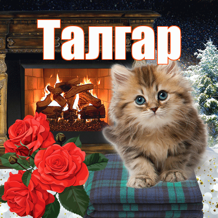 Талгар! Добрый зимний вечер! Красивая открытка Талгару!