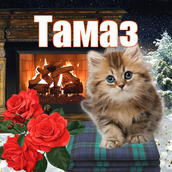 Тамаз! Добрый зимний вечер! Красивая открытка Тамазу!
