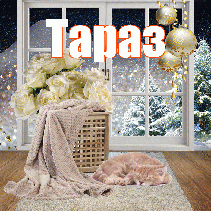 Тараз! Добрый зимний вечер! Красивая открытка Таразу!