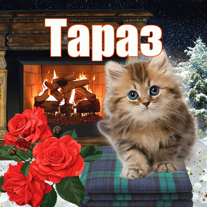 Тараз! Добрый зимний вечер! Красивая открытка Таразу!