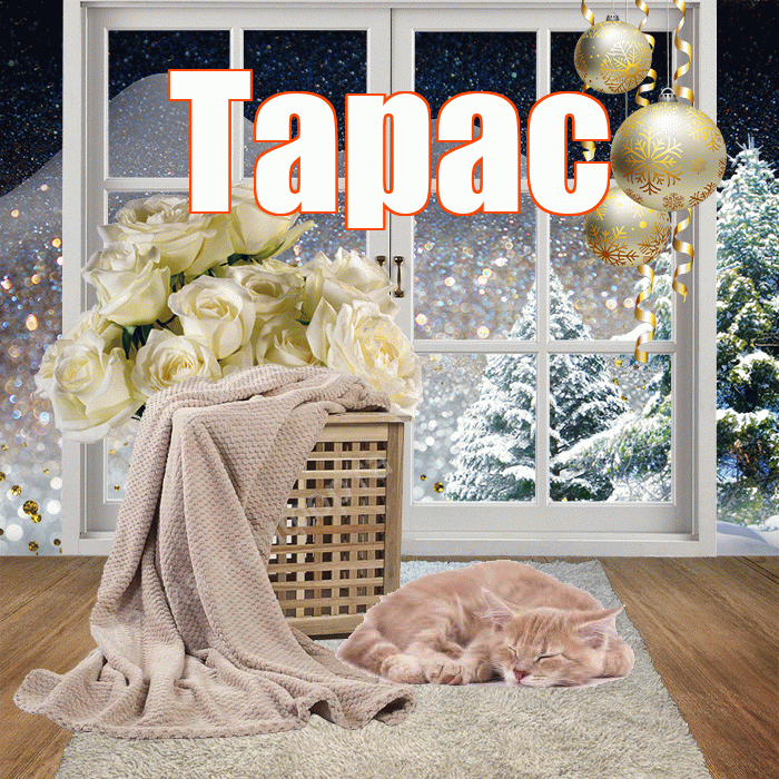 Тарас! Добрый зимний вечер! Красивая открытка Тарасу!