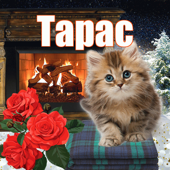 Тарас! Добрый зимний вечер! Красивая открытка Тарасу!