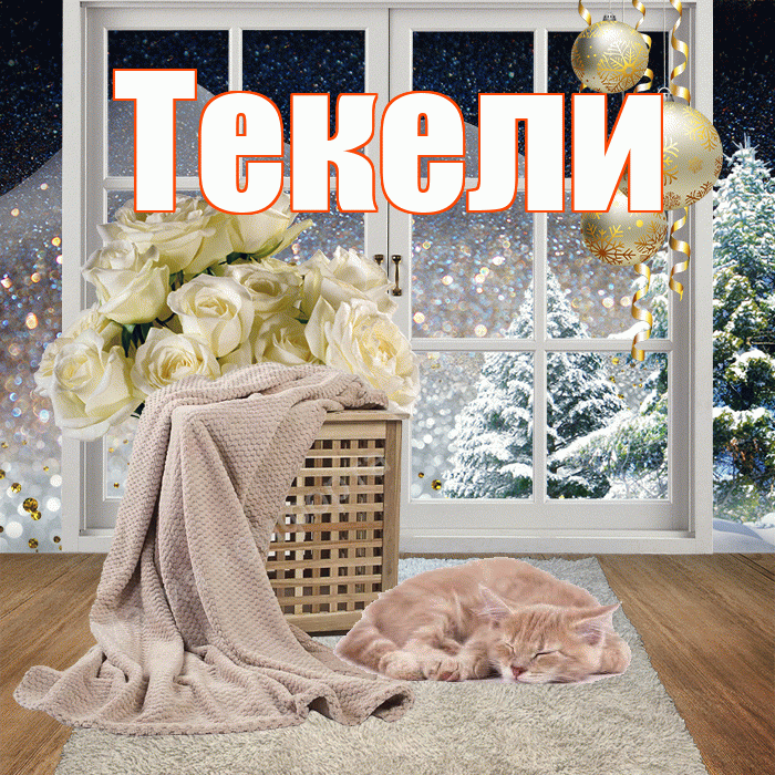Текели! Добрый зимний вечер! Красивая открытка Текели!