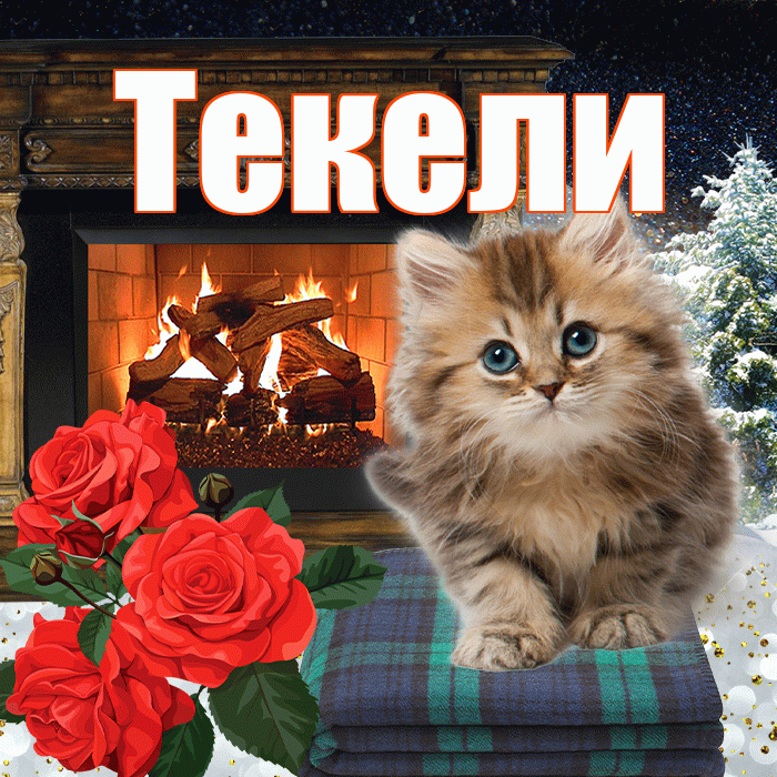 Текели! Добрый зимний вечер! Красивая открытка Текели!