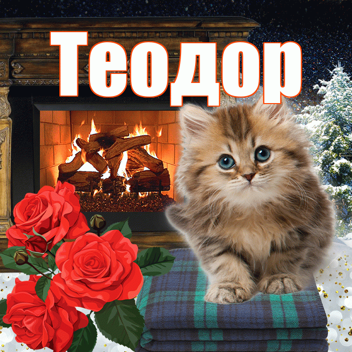Теодор! Добрый зимний вечер! Красивая открытка Теодору!