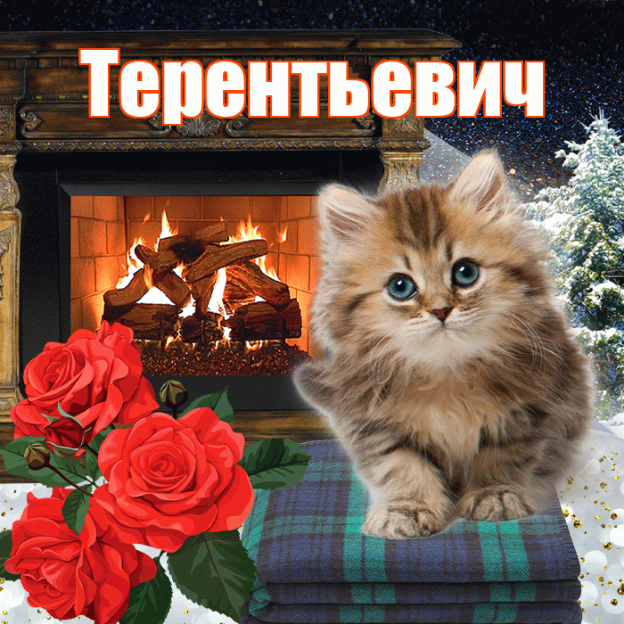 Терентьевич! Добрый зимний вечер! Красивая открытка Терентьевичу!