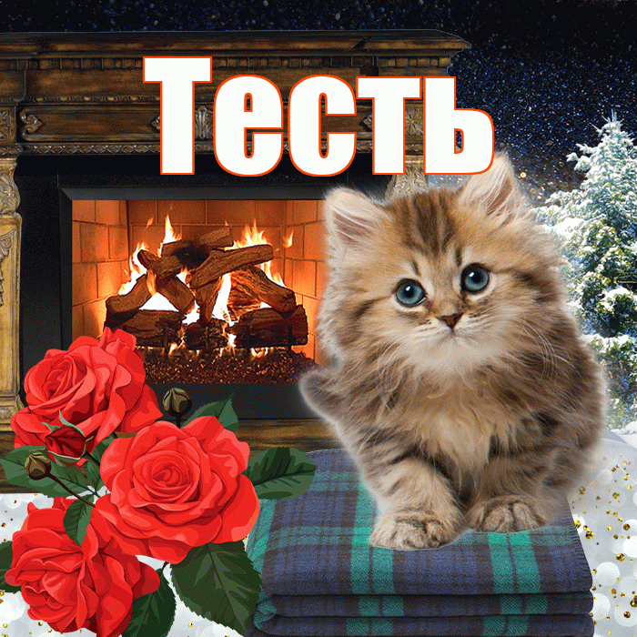 Тесть! Добрый зимний вечер! Красивая открытка Тестю!