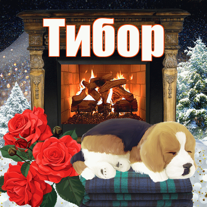 Тибор! Добрый зимний вечер! Красивая открытка Тибору!