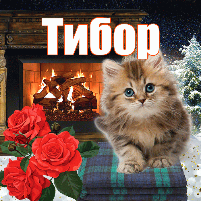 Тибор! Добрый зимний вечер! Красивая открытка Тибору!