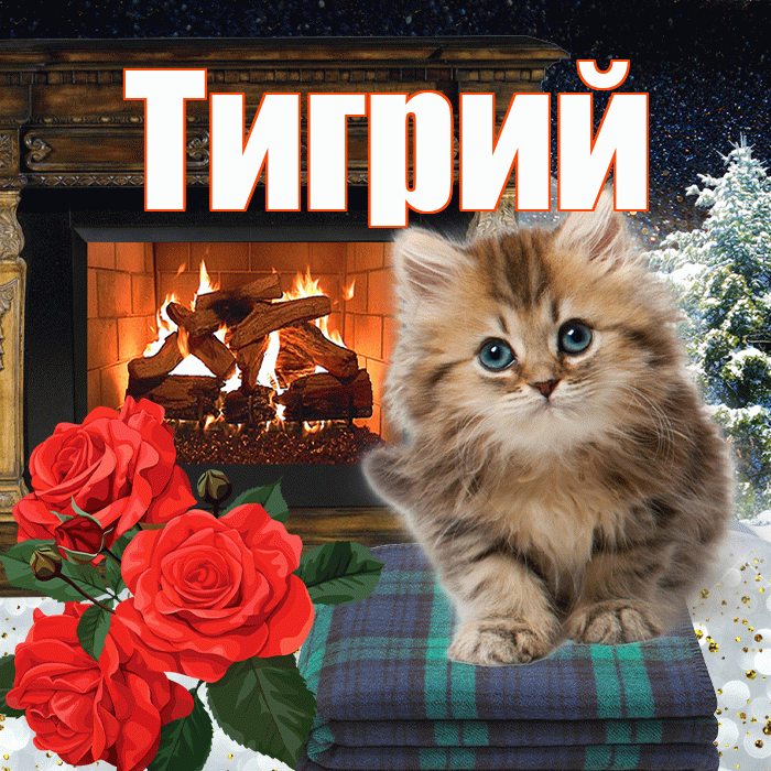 Тигрий! Добрый зимний вечер! Красивая открытка Тигрии!