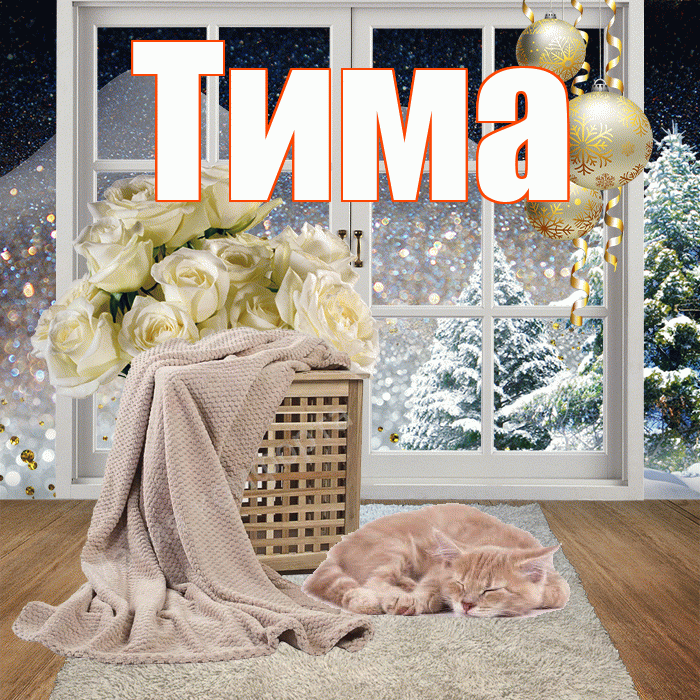 Тима! Добрый зимний вечер! Красивая открытка Тиму!