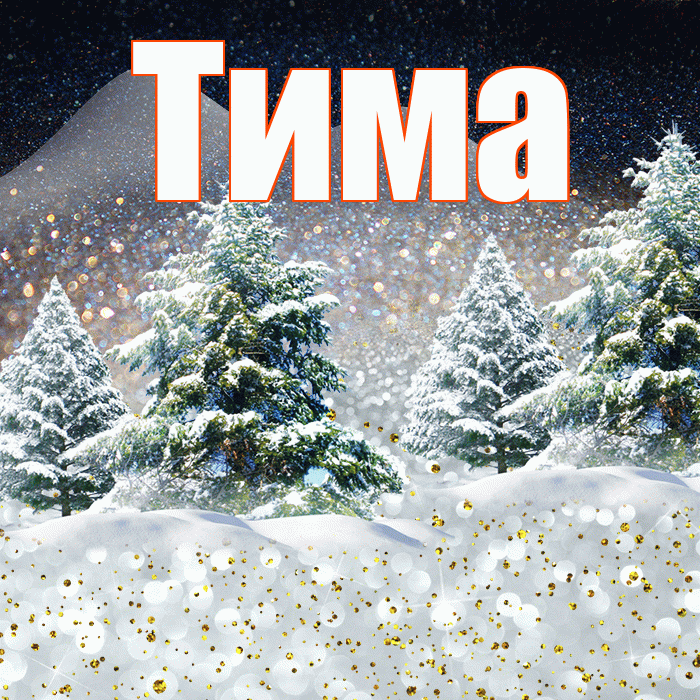Тима! Добрый зимний вечер! Красивая открытка Тиму!