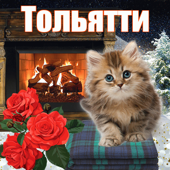 Тольятти! Добрый зимний вечер! Красивая открытка Тольятти!