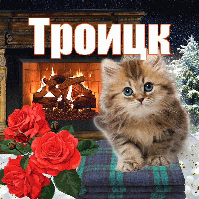 Троицк! Добрый зимний вечер! Красивая открытка Троицку!
