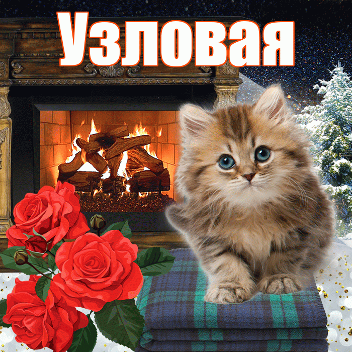 Узловая! Добрый зимний вечер! Красивая открытка Узловаи!