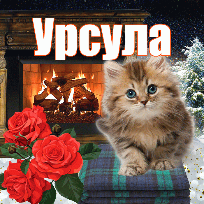 Урсула! Добрый зимний вечер! Красивая открытка Урсуле!