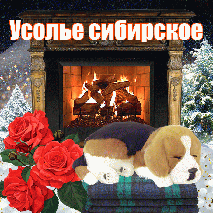 Усолье сибирское! Добрый зимний вечер! Красивая открытка !