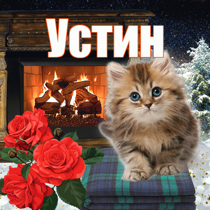 Устин! Добрый зимний вечер! Красивая открытка Устину!