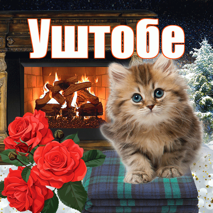 Уштобе! Добрый зимний вечер! Красивая открытка Уштобе!