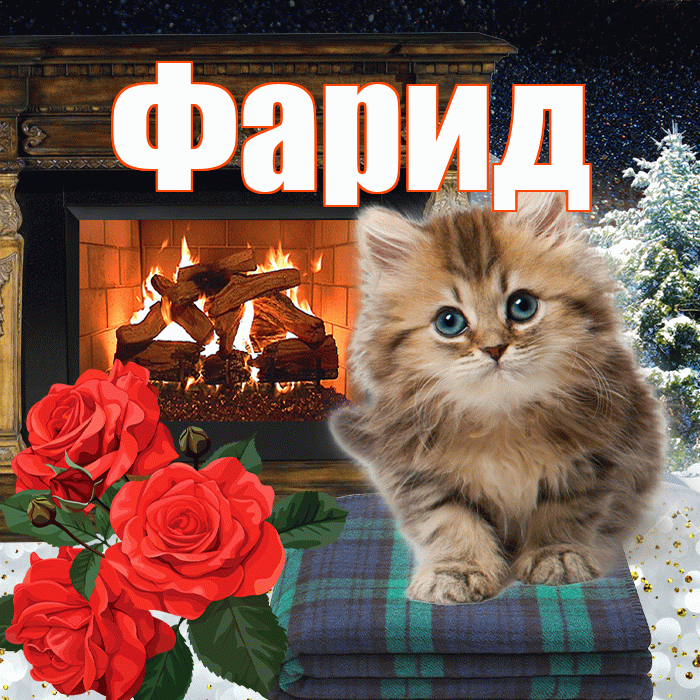 Фарид! Добрый зимний вечер! Красивая открытка Фариду!