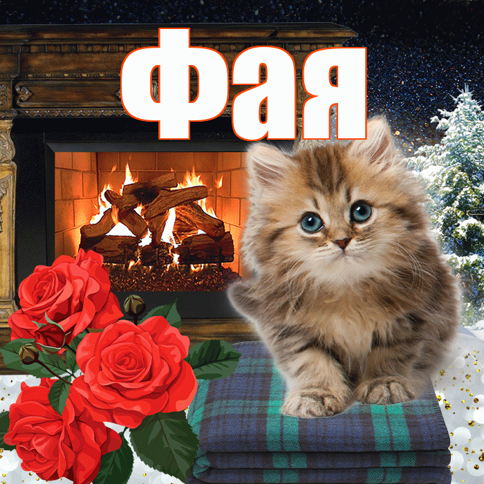 Фая! Добрый зимний вечер! Красивая открытка Фаю!