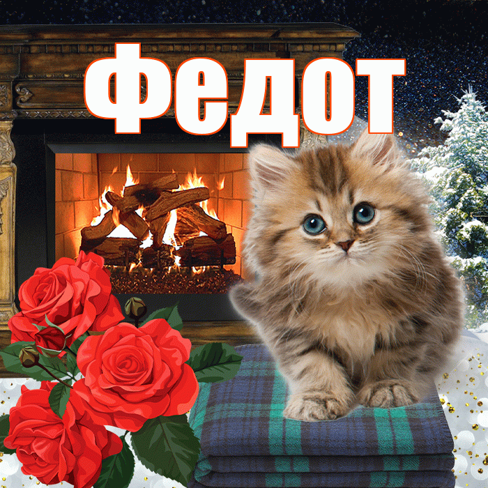 Федот! Добрый зимний вечер! Красивая открытка Федоту!