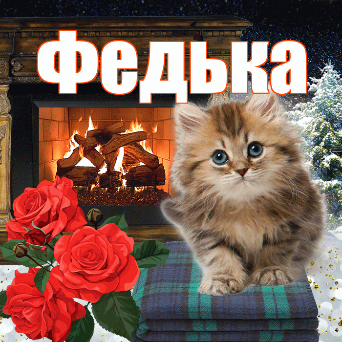 Федька! Добрый зимний вечер! Красивая открытка !