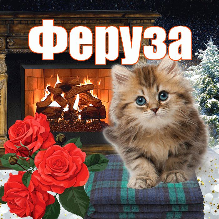 Феруза! Добрый зимний вечер! Красивая открытка Ферузу!